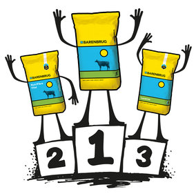 Barenbrug-1500x1500-podium-3bags kopia.jpg